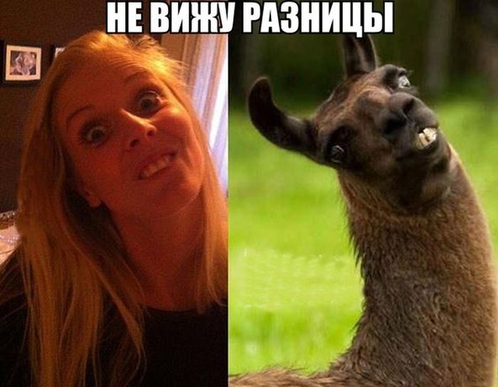 Веселая подборка фотоприколов и просто классных фото