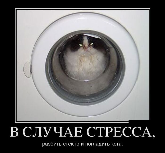 Сборник прикольных демотивационных картинок