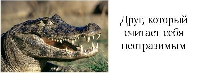 Типы друзей