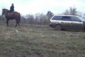 Одна лошадиная сила против 80 лошадок в VW.