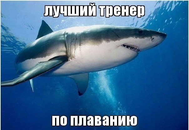 Разные приколы в картинках