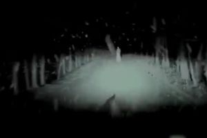 Запись с видео регистратора