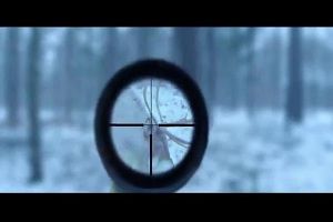 Неудачно подстрелил оленя