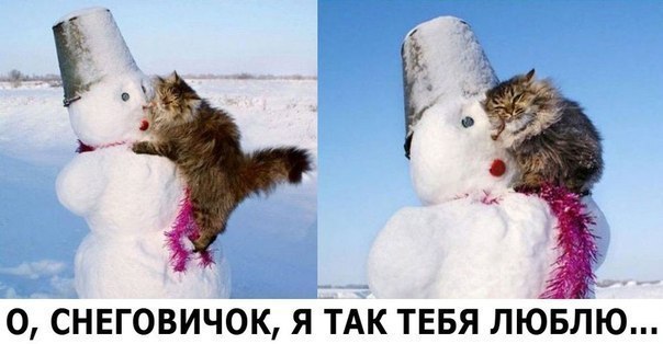 Лучшие приколы