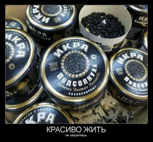 Прикольная коллекция демотивационных приколов