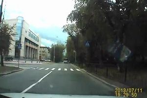 Голубь следует правилам движения