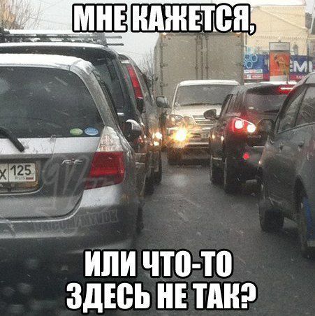 Новые авто приколы