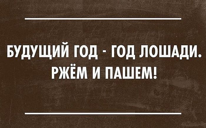 Забавные и прикольные картинки
