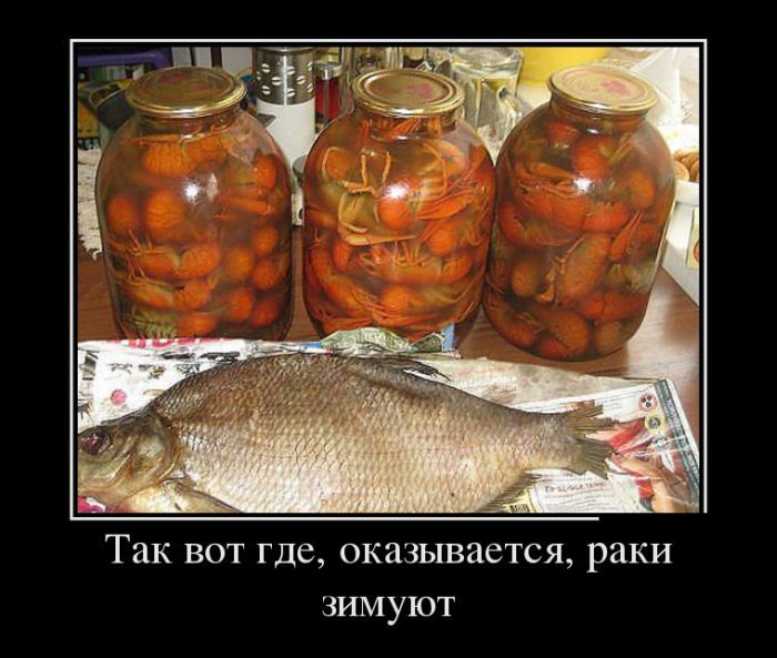 Сборник демотиваторов со смыслом и без