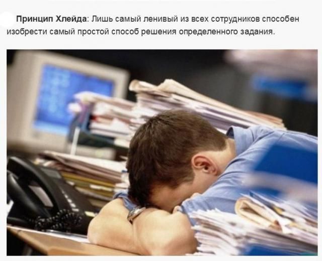 Высказывания знаменитых людей