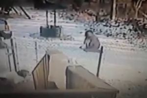 Котэ постоял за себя