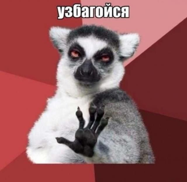 Прикольные интернет-мемы