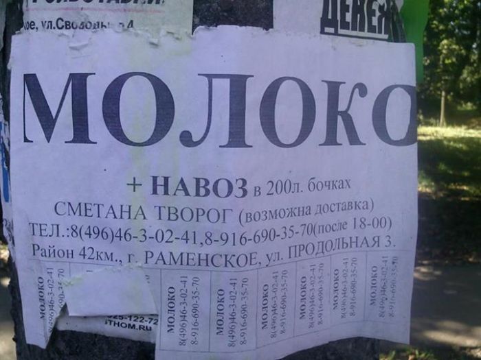 Смешные надписи и объявления