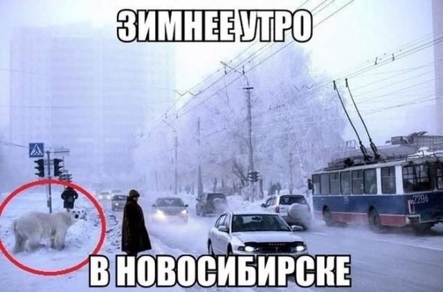 Веселая подборка фотоприколов и позитивных фото