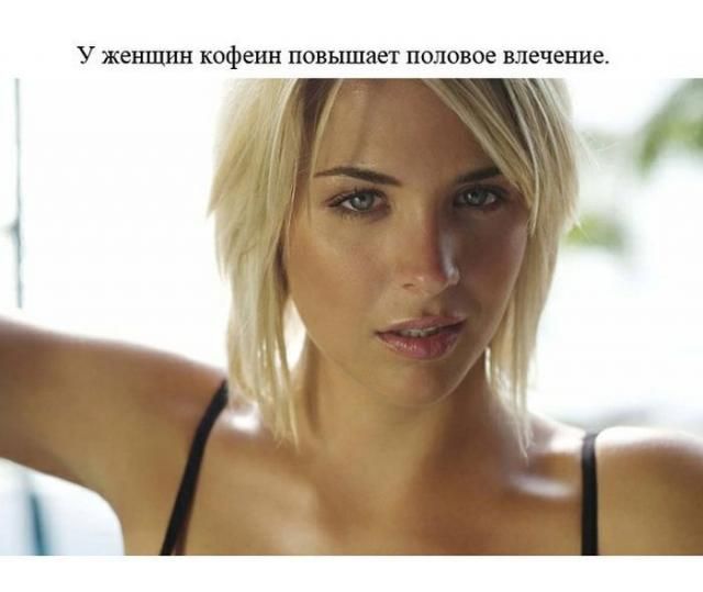Интересные и познавательные факты обо всем на свете