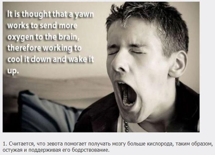 А Вы это знали?