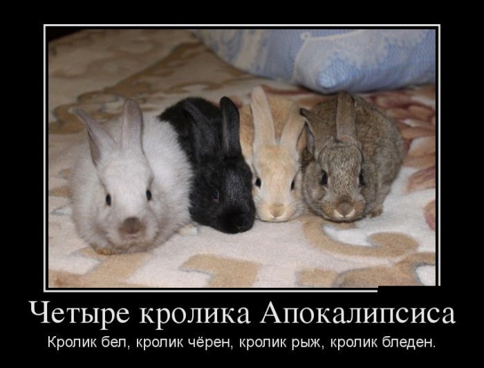 Свежие демотиваторы