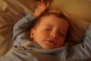 Какие слова знает малыш