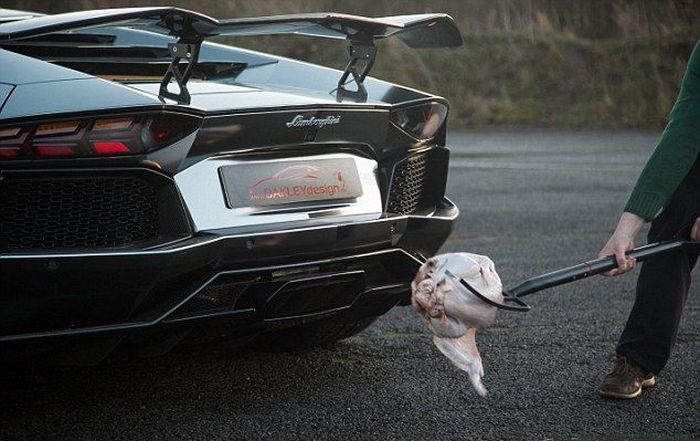 Lamborghini  готовит индейку