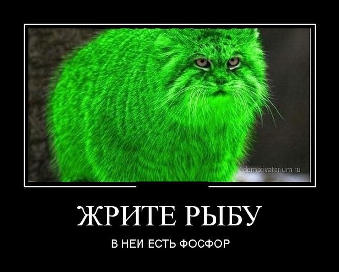 Новые демотиваторы
