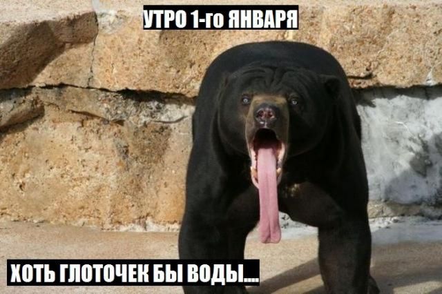 Веселая подборка фотоприколов и позитивных фото