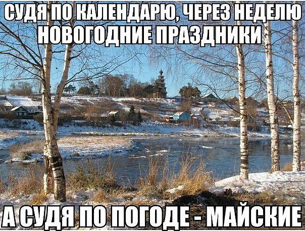 Веселые фото приколы и позитивные картинки