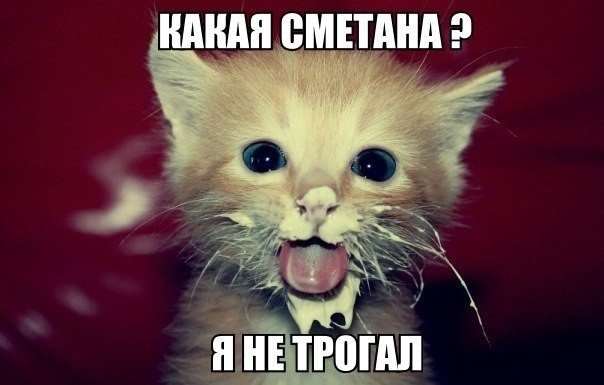 Прикольные картинки
