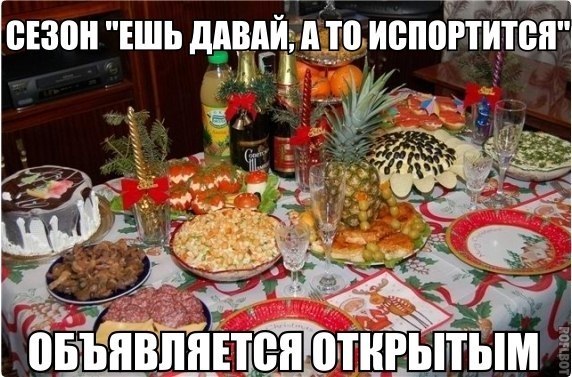 Прикольные картинки и фотографии