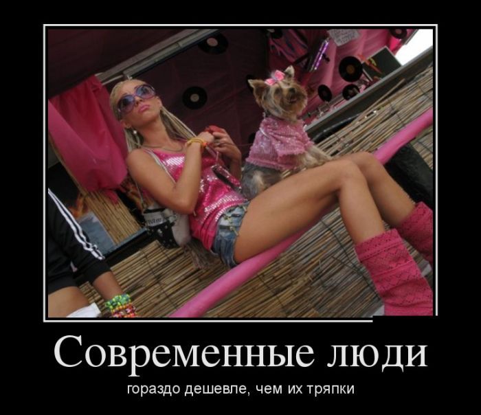Утренние демотиваторы