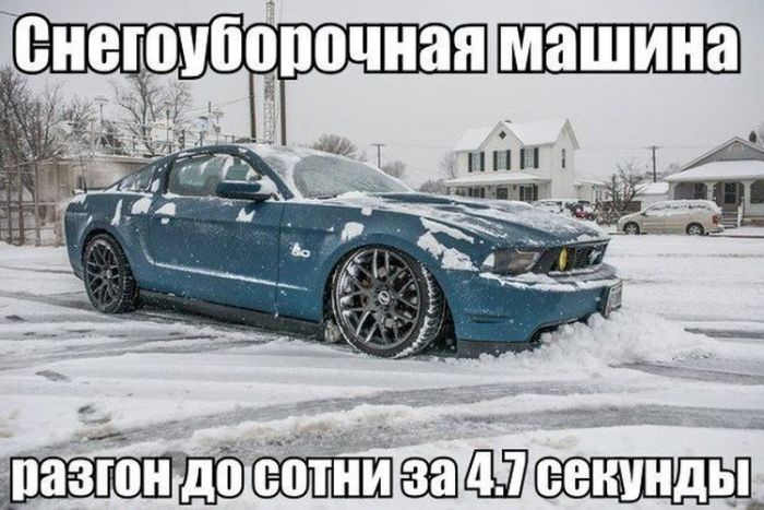Свежие автоприколы