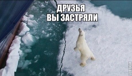 Доброта мишки