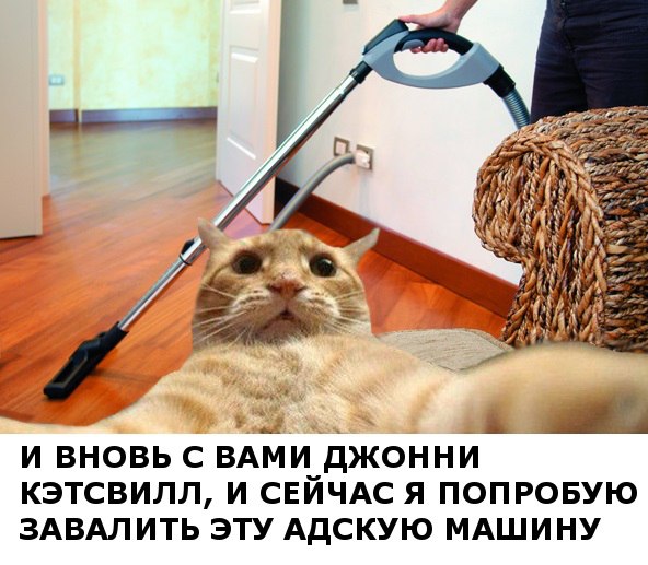 Джонни Кэтсвилл. Лучшие выпуски