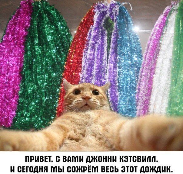 Классные приколы