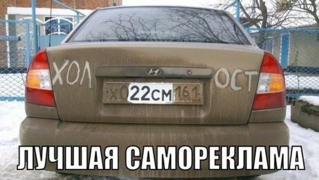 Классные фотоприколы и позитивные картинки