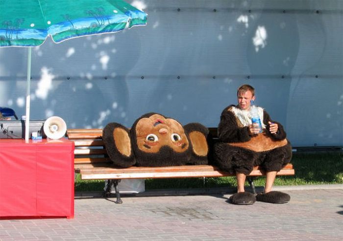Сборник приколов на просторах нашей бескрайней