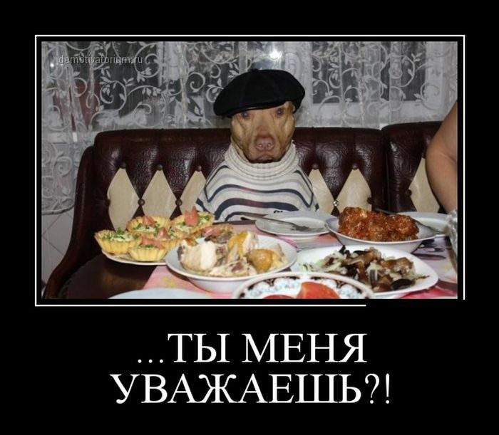 Новые демотиваторы