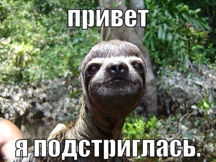 Подборка классных фотоприколов