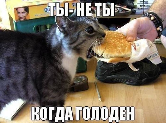 Утренние приколы