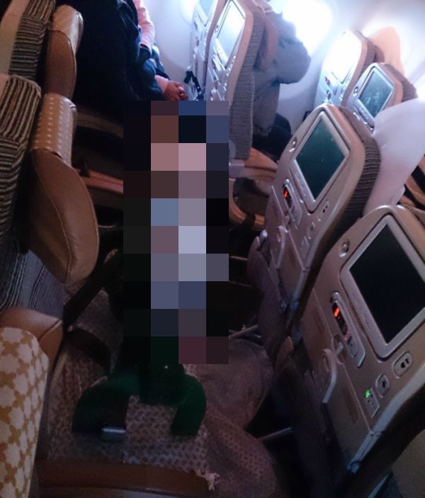 Необычный пассажир