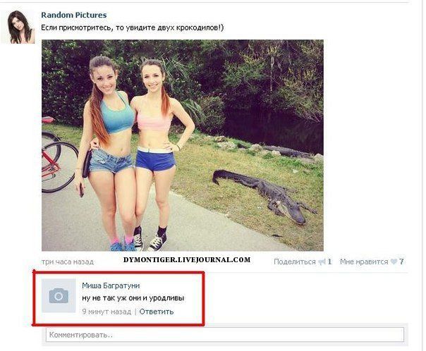 Забавные комментарии из социальных сетей