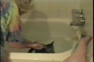 Котэ перекинул девушку через себя