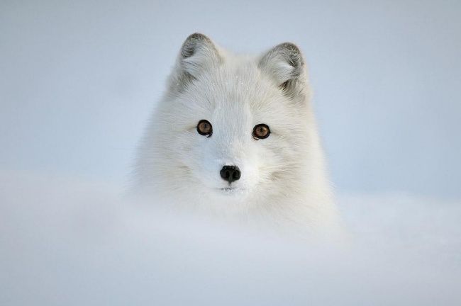 Красивые фотографии зимы