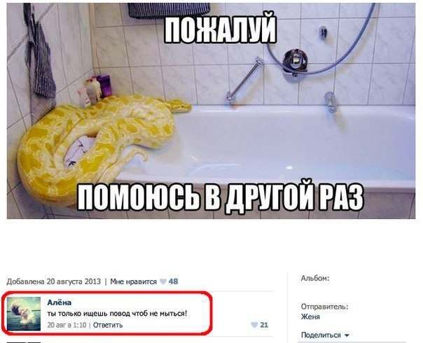 Забавные комментарии из социальных сетей