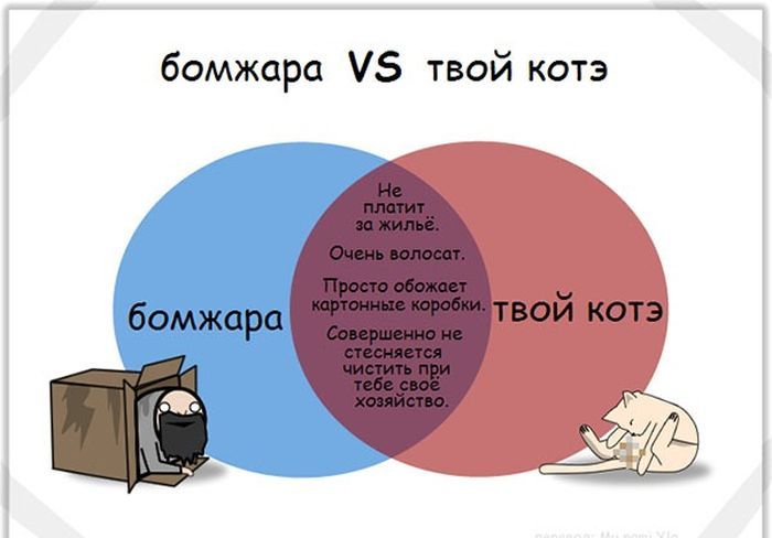 Забавные комиксы