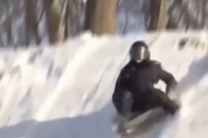 Досуг беркута