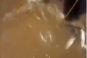 Неуклюжий рыбак