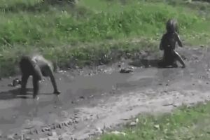 Негритята играют в грязи