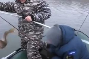 У пацана шок от пойманной рыбы
