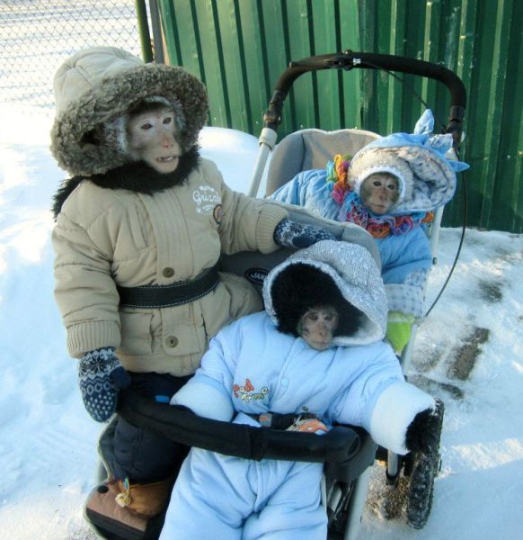 Сегодняшние приколы