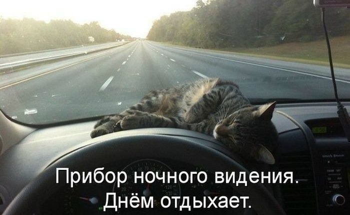 Автоприколы